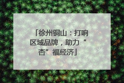 徐州铜山：打响区域品牌，助力“杏”福经济