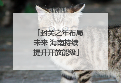 封关之年布局未来 海南持续提升开放能级