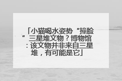 小猫喝水姿势“撞脸”三星堆文物？博物馆：该文物并非来自三星堆，有可能是它