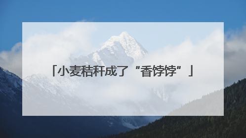 小麦秸秆成了“香饽饽”