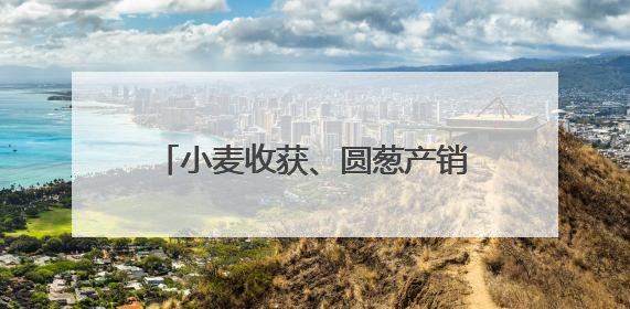 小麦收获、圆葱产销旺、水稻长势好……乡村处处是“丰”景