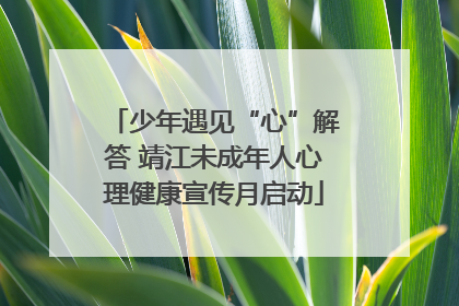 少年遇见“心”解答 靖江未成年人心理健康宣传月启动