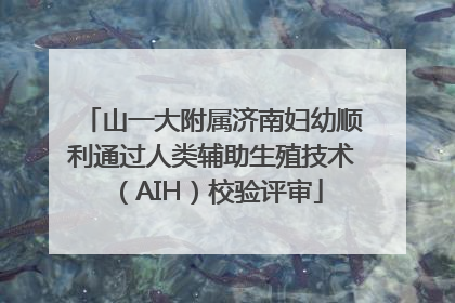 山一大附属济南妇幼顺利通过人类辅助生殖技术（AIH）校验评审