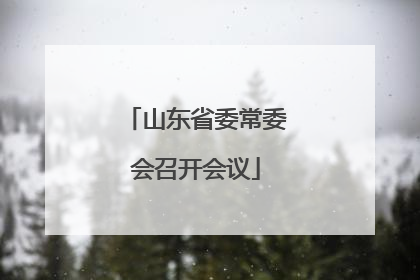 山东省委常委会召开会议