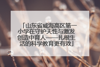 山东省威海高区第一小学在守护天性与激发创造中育人——扎根生活的科学教育更有效