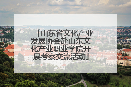 山东省文化产业发展协会赴山东文化产业职业学院开展考察交流活动