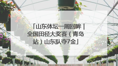 山东体坛一周回眸｜全国田径大奖赛（青岛站）山东队夺7金