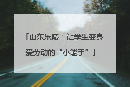 山东乐陵：让学生变身爱劳动的“小能手”