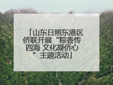 山东日照东港区侨联开展“粽香传四海 文化凝侨心”主题活动