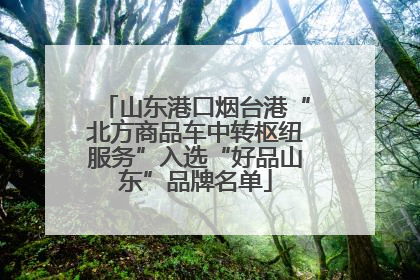 山东港口烟台港“北方商品车中转枢纽服务”入选“好品山东”品牌名单