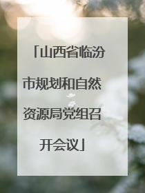 山西省临汾市规划和自然资源局党组召开会议