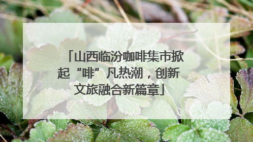山西临汾咖啡集市掀起“啡”凡热潮，创新文旅融合新篇章