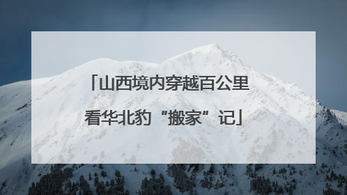 山西境内穿越百公里 看华北豹“搬家”记