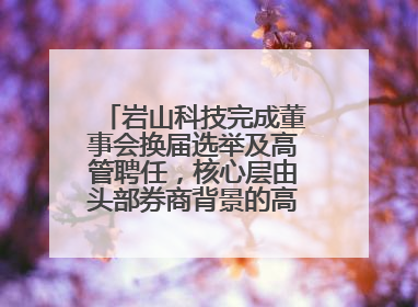 岩山科技完成董事会换届选举及高管聘任，核心层由头部券商背景的高管掌控