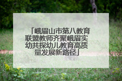 峨眉山市第八教育联盟教师齐聚峨眉实幼共探幼儿教育高质量发展新路径