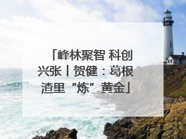 峰林聚智 科创兴张丨贺健：葛根渣里“炼”黄金