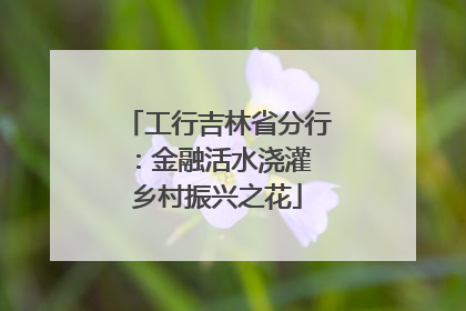 工行吉林省分行：金融活水浇灌 乡村振兴之花