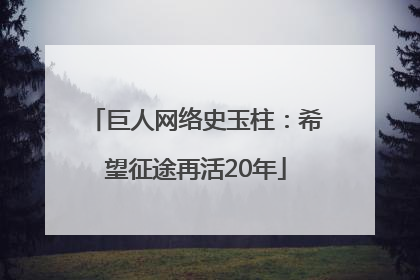 巨人网络史玉柱：希望征途再活20年