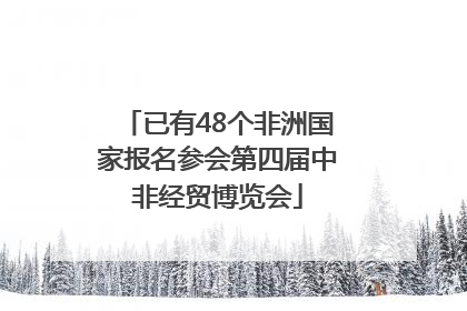 已有48个非洲国家报名参会第四届中非经贸博览会
