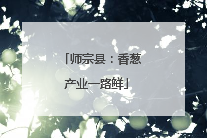 师宗县：香葱产业一路鲜
