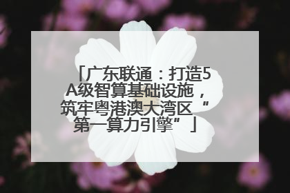 广东联通：打造5A级智算基础设施，筑牢粤港澳大湾区“第一算力引擎”
