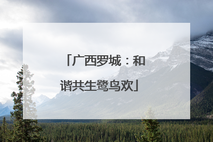 广西罗城：和谐共生鹭鸟欢