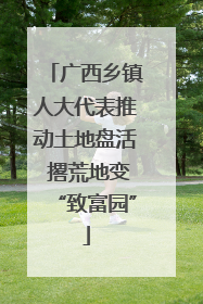 广西乡镇人大代表推动土地盘活 撂荒地变“致富园”