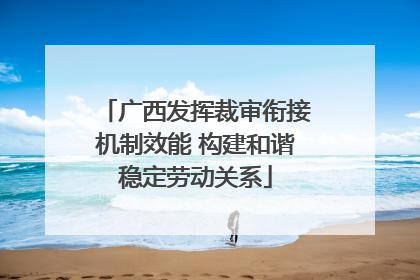 广西发挥裁审衔接机制效能 构建和谐稳定劳动关系