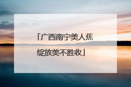 广西南宁美人蕉绽放美不胜收