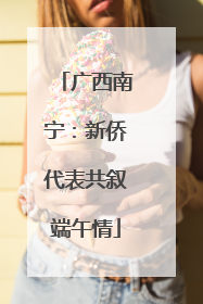 广西南宁：新侨代表共叙端午情