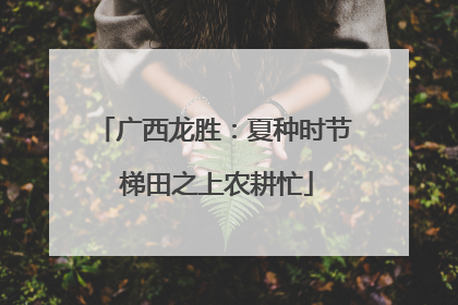 广西龙胜：夏种时节 梯田之上农耕忙