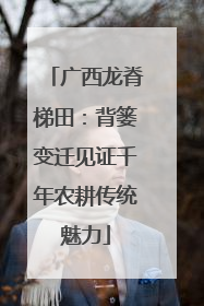 广西龙脊梯田:背篓变迁见证千年农耕传统魅力