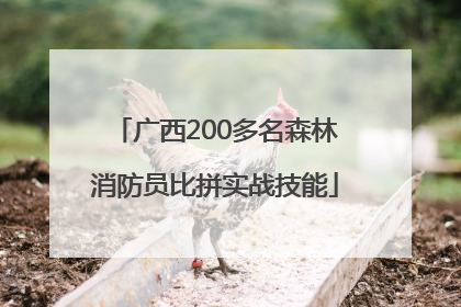 广西200多名森林消防员比拼实战技能