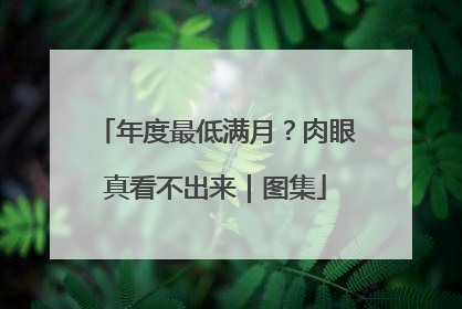 年度最低满月？肉眼真看不出来｜图集