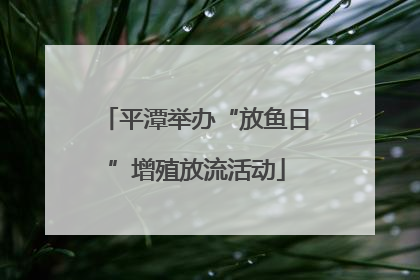 平潭举办“放鱼日”增殖放流活动