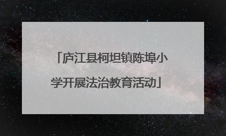 庐江县柯坦镇陈埠小学开展法治教育活动