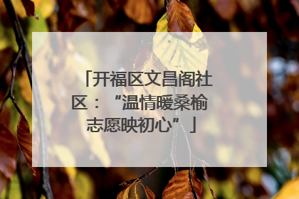 开福区文昌阁社区：“温情暖桑榆 志愿映初心”