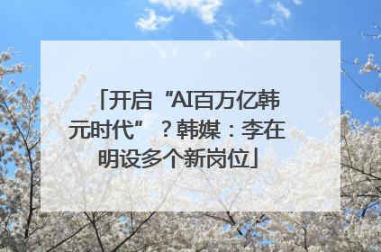 开启“AI百万亿韩元时代”？韩媒：李在明设多个新岗位