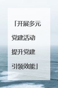 开展多元党建活动 提升党建 引领效能