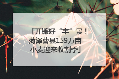 开镰好“丰”景！菏泽曹县159万亩小麦迎来收割季
