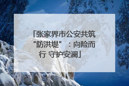 张家界市公安共筑“防洪堤”：向险而行 守护安澜