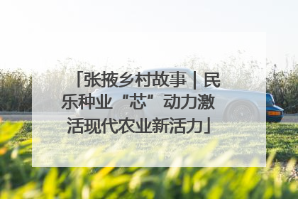 张掖乡村故事｜民乐种业“芯”动力激活现代农业新活力