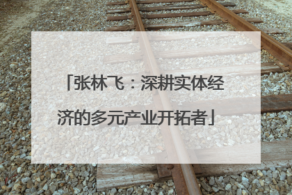 张林飞：深耕实体经济的多元产业开拓者