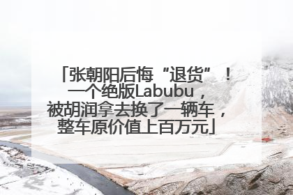 张朝阳后悔“退货”！一个绝版Labubu，被胡润拿去换了一辆车，整车原价值上百万元