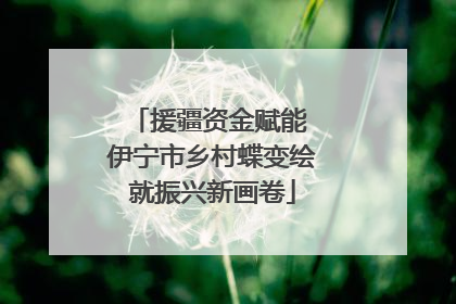 援疆资金赋能 伊宁市乡村蝶变绘就振兴新画卷