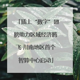 插上“数字”翅膀助力区域经济腾飞 川南地区首个智算中心启动