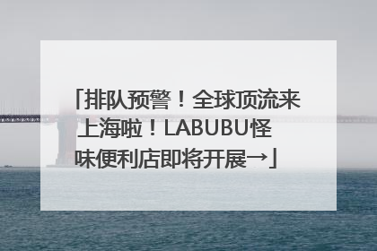 排队预警！全球顶流来上海啦！LABUBU怪味便利店即将开展→