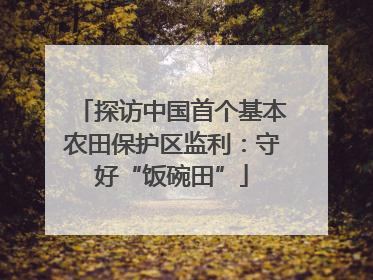 探访中国首个基本农田保护区监利：守好“饭碗田”