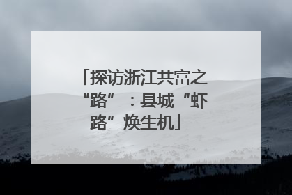 探访浙江共富之“路”：县城“虾路”焕生机