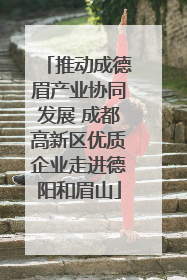 推动成德眉产业协同发展 成都高新区优质企业走进德阳和眉山